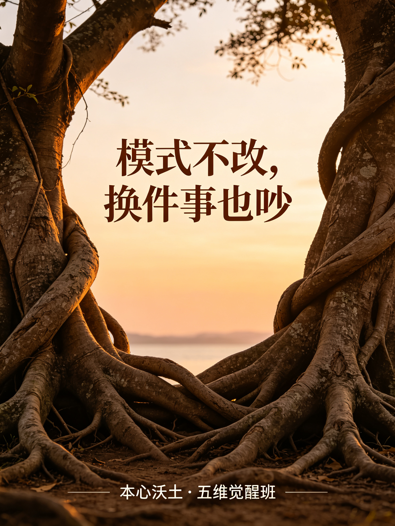 本心沃土素材 03