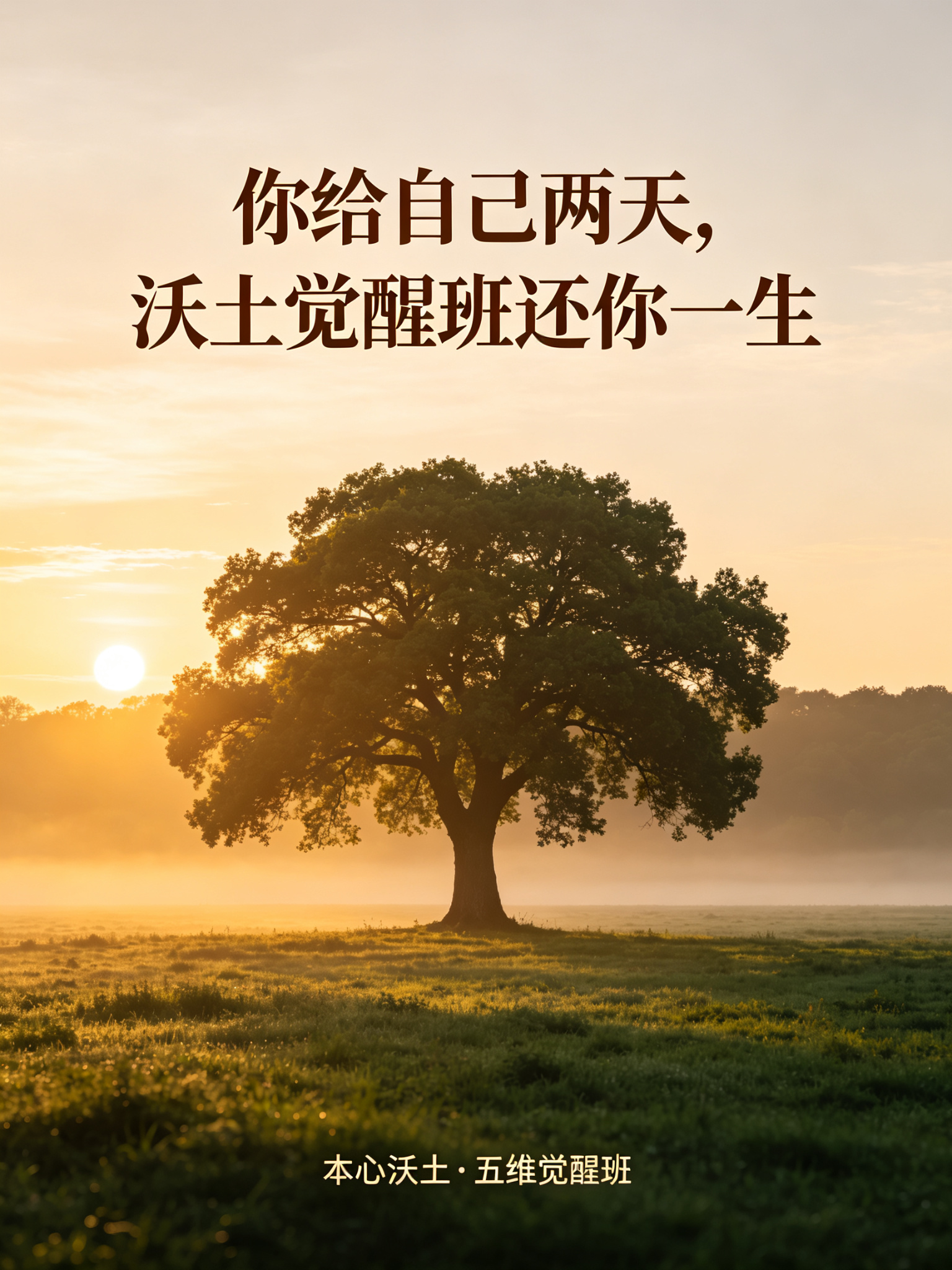 本心沃土素材 10