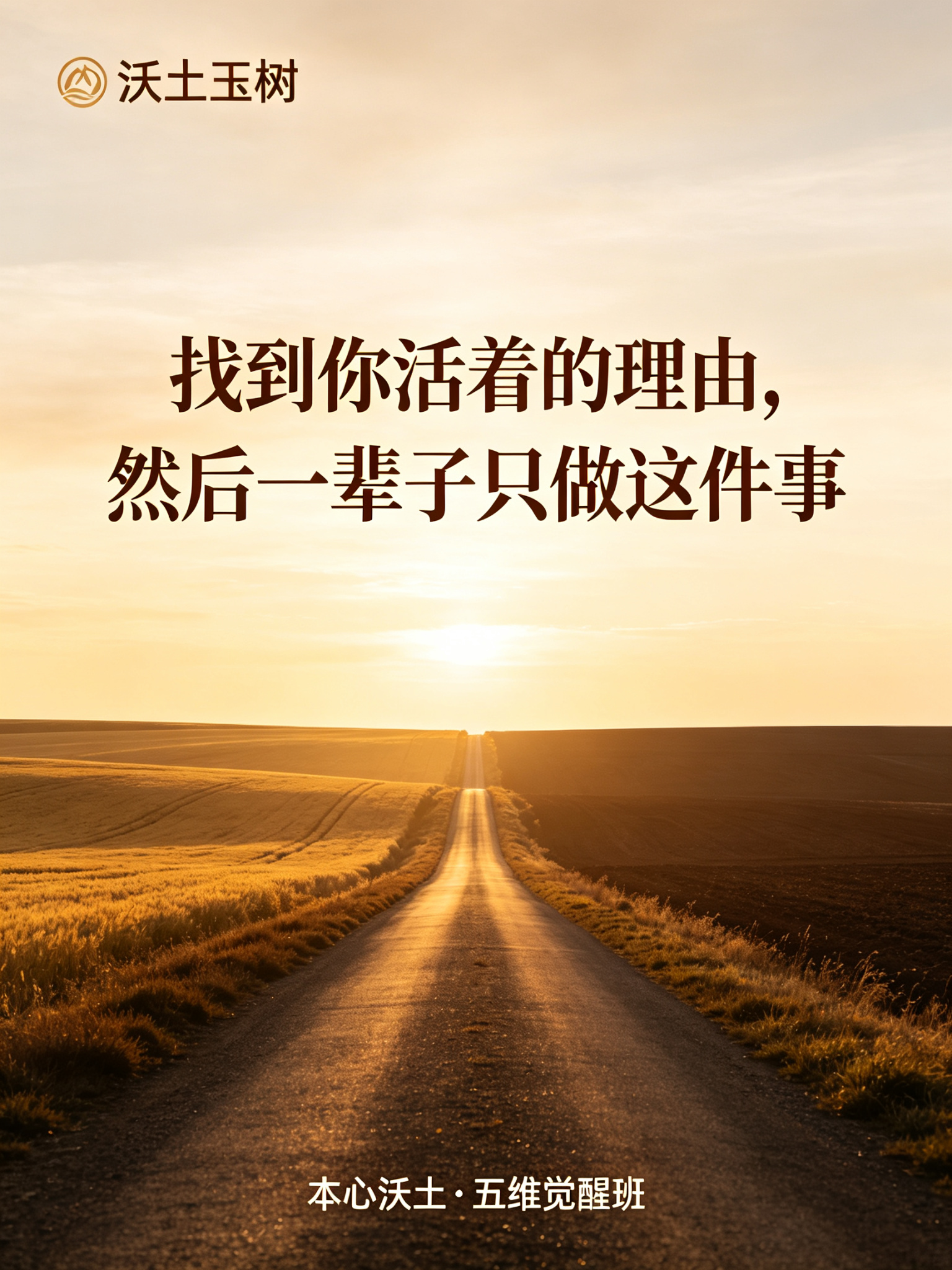 本心沃土素材 11