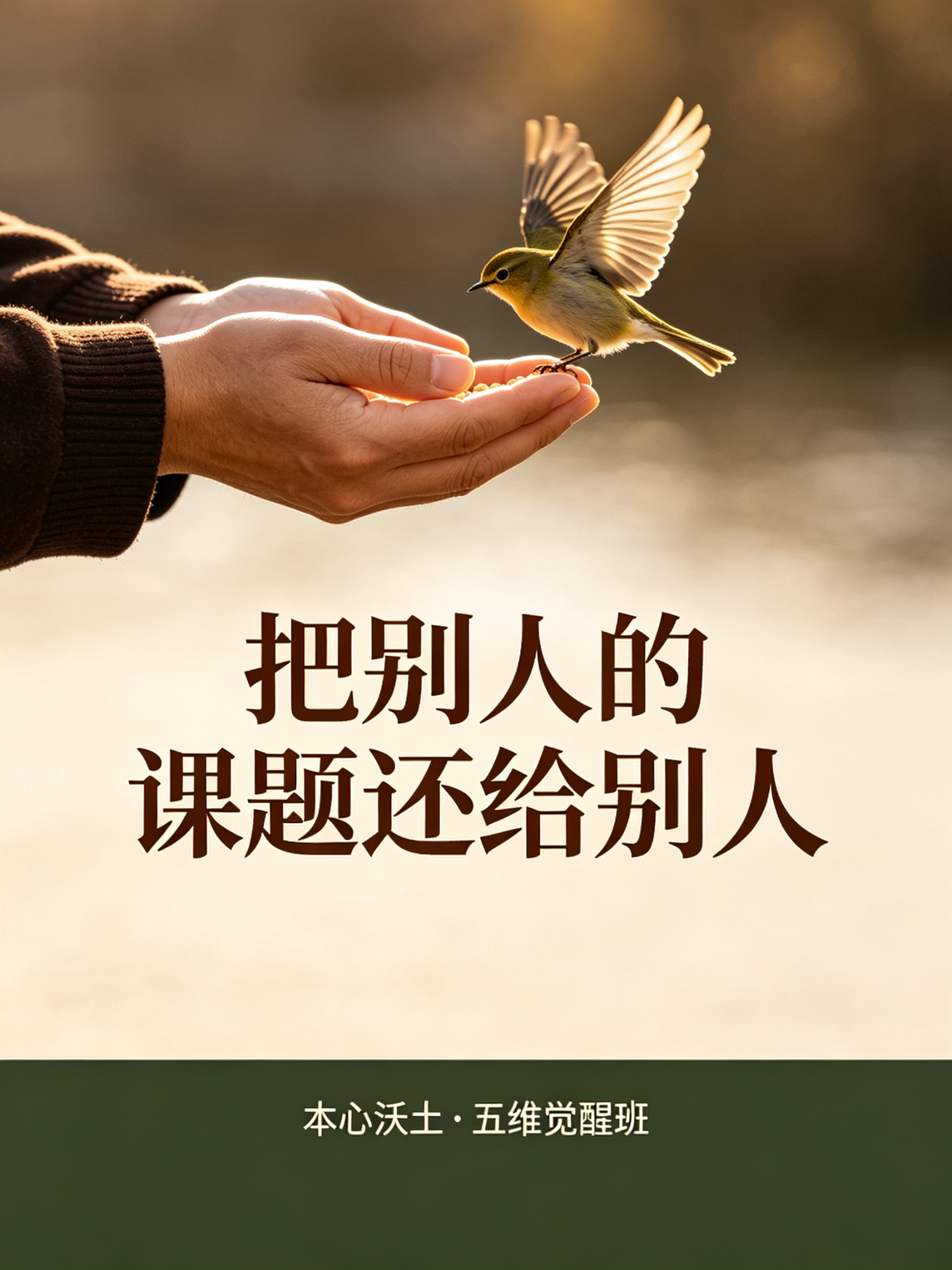 本心沃土素材 13