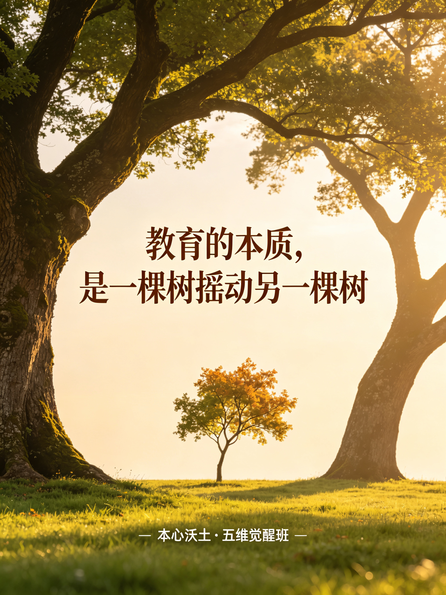 本心沃土素材 34
