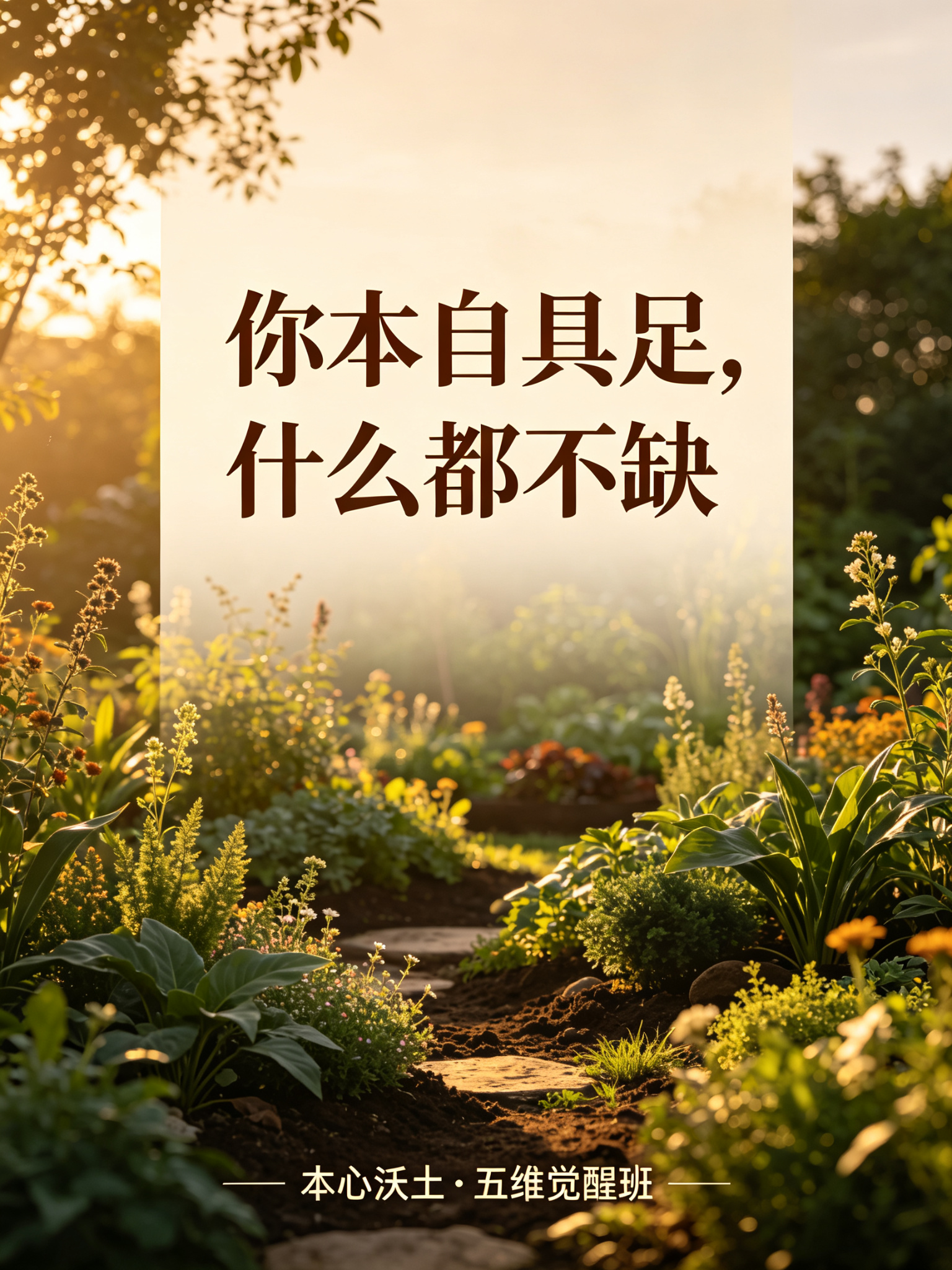 本心沃土素材 48