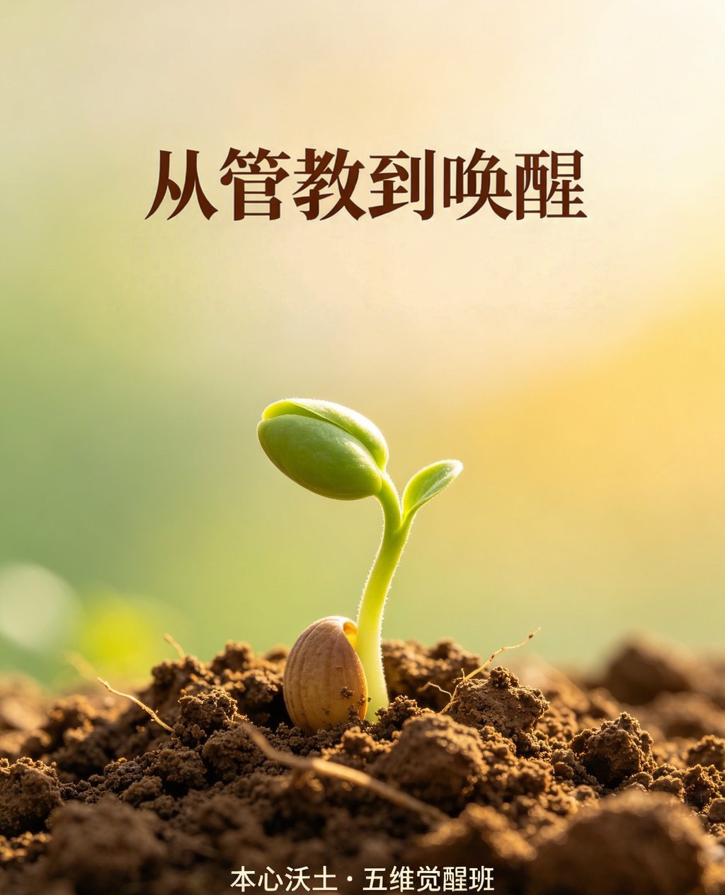本心沃土素材 74